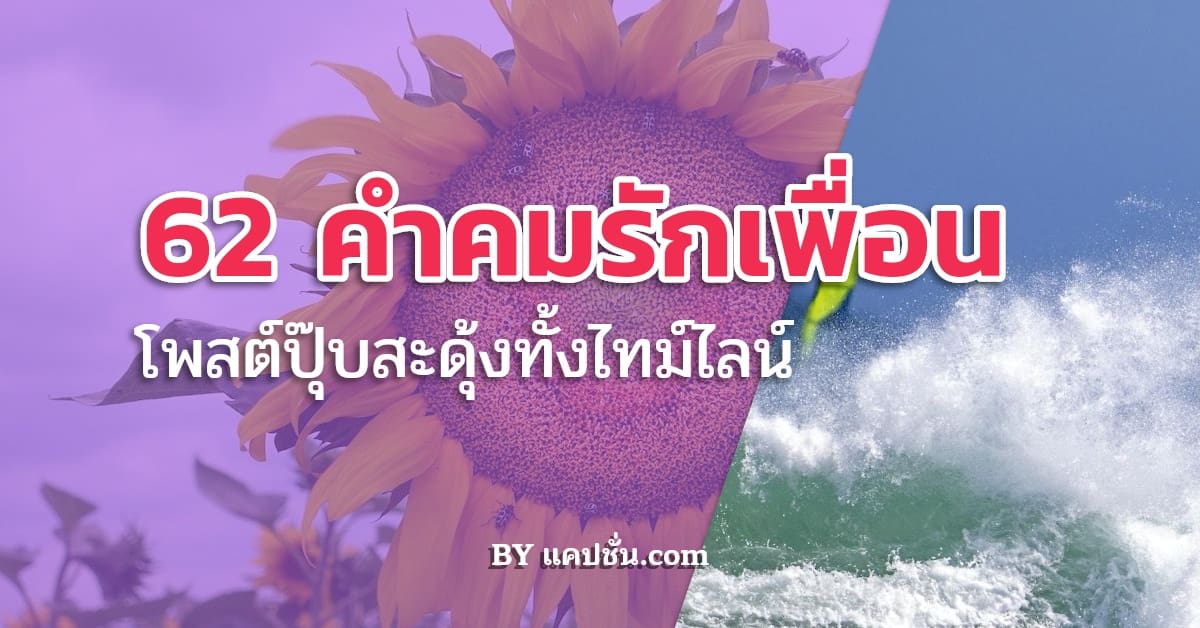 คำคมรักเพื่อน 62 คําคมเพื่อนรักเพื่อนแท้ ไม่สนิท อย่าคิดปากหมา 😈  อย่าปากหมา - แคปชั่น